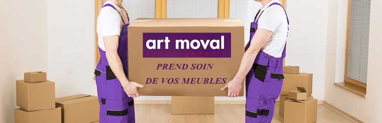 déménageurs à Lyon